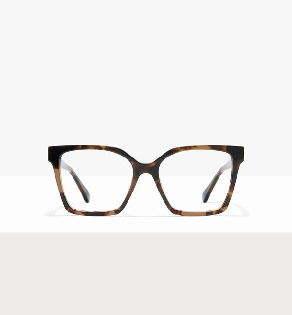 Dark Brown Tort--front_image