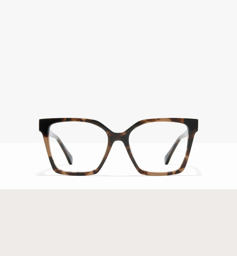 Dark Brown Tort--front_image