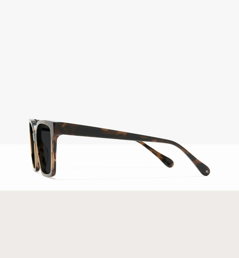 Dark Brown Tort--side_image_sun