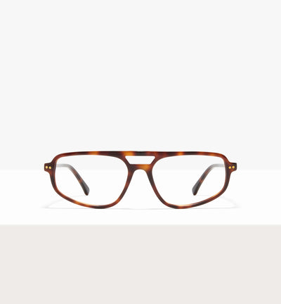 Brown Tort--front_image