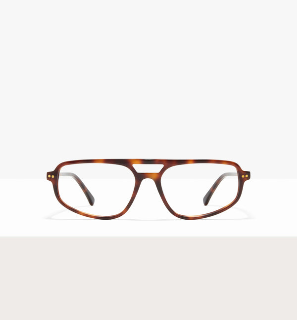 Brown Tort--front_image