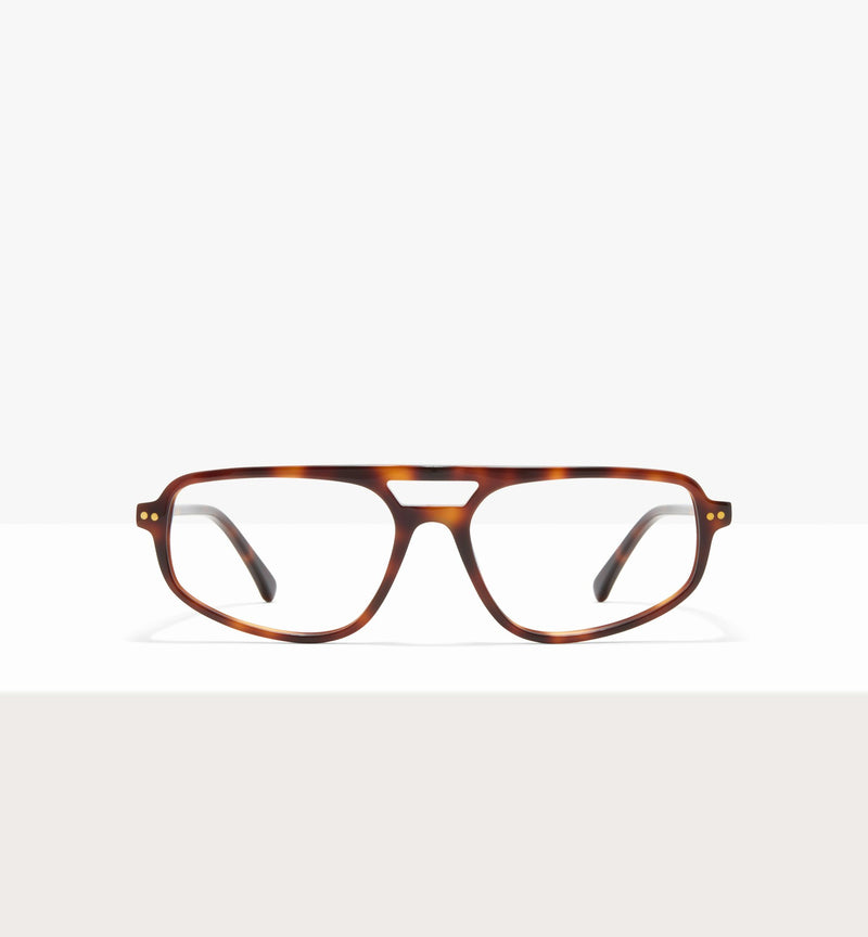 Brown Tort--front_image