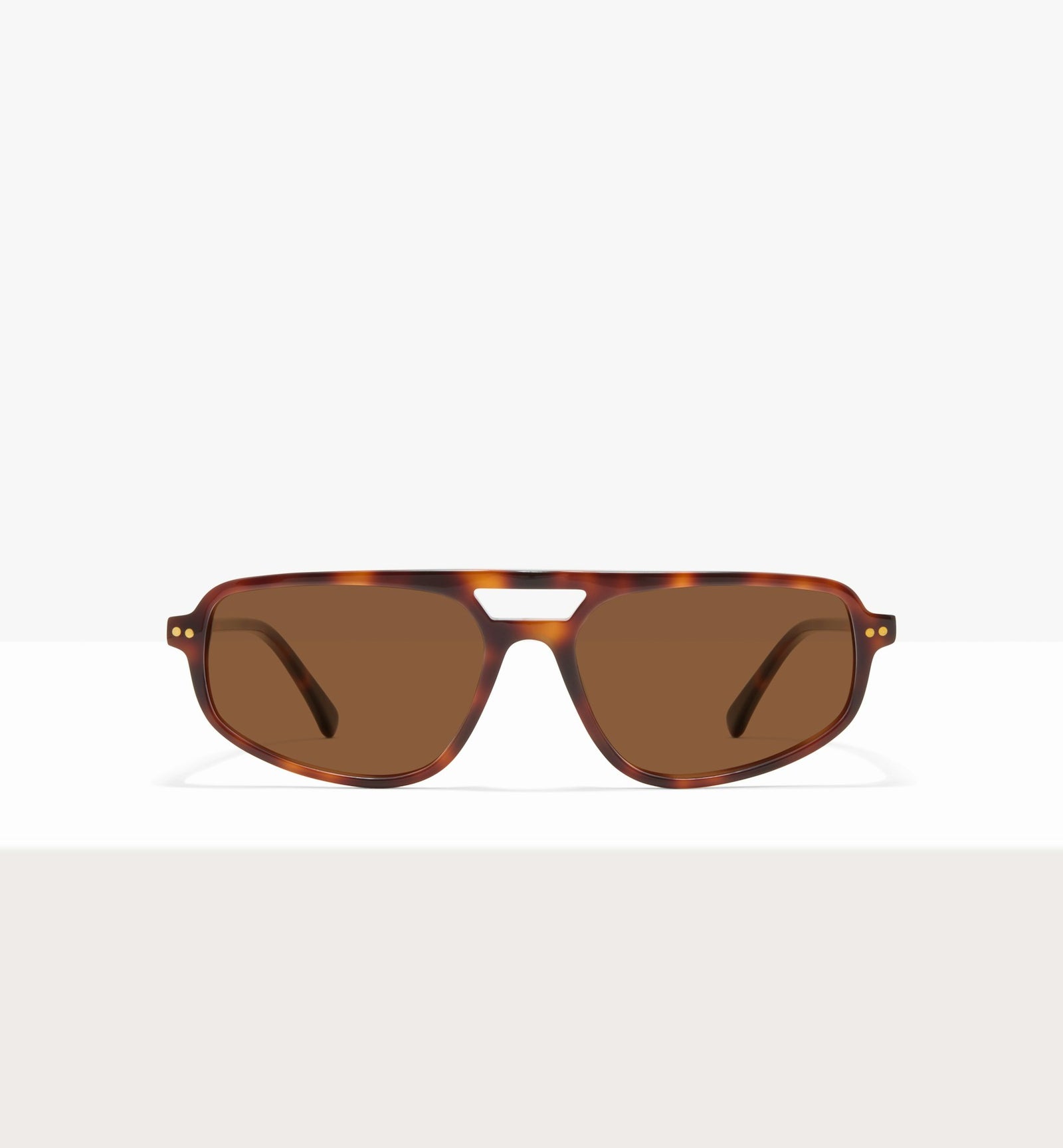 Brown Tort--front_image_sun