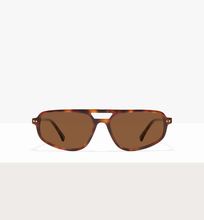 Brown Tort--front_image_sun