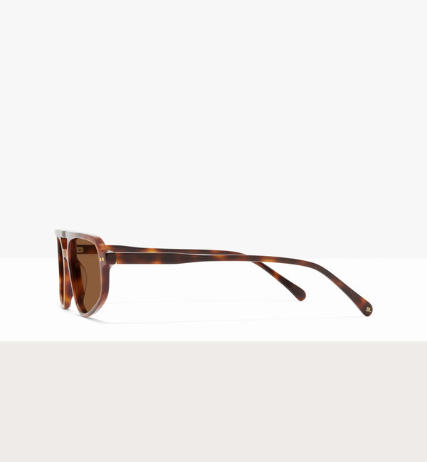 Brown Tort--side_image_sun