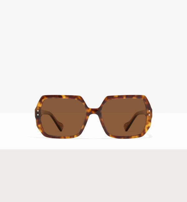 Copper Tort--front_image_sun