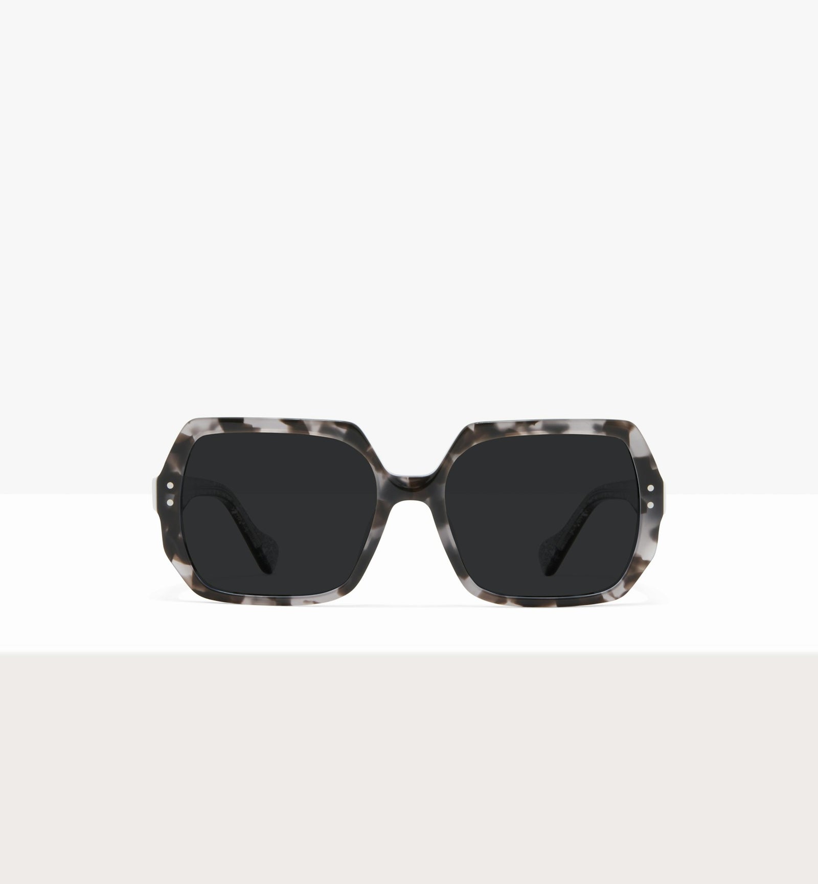 Grey Tort--front_image_sun