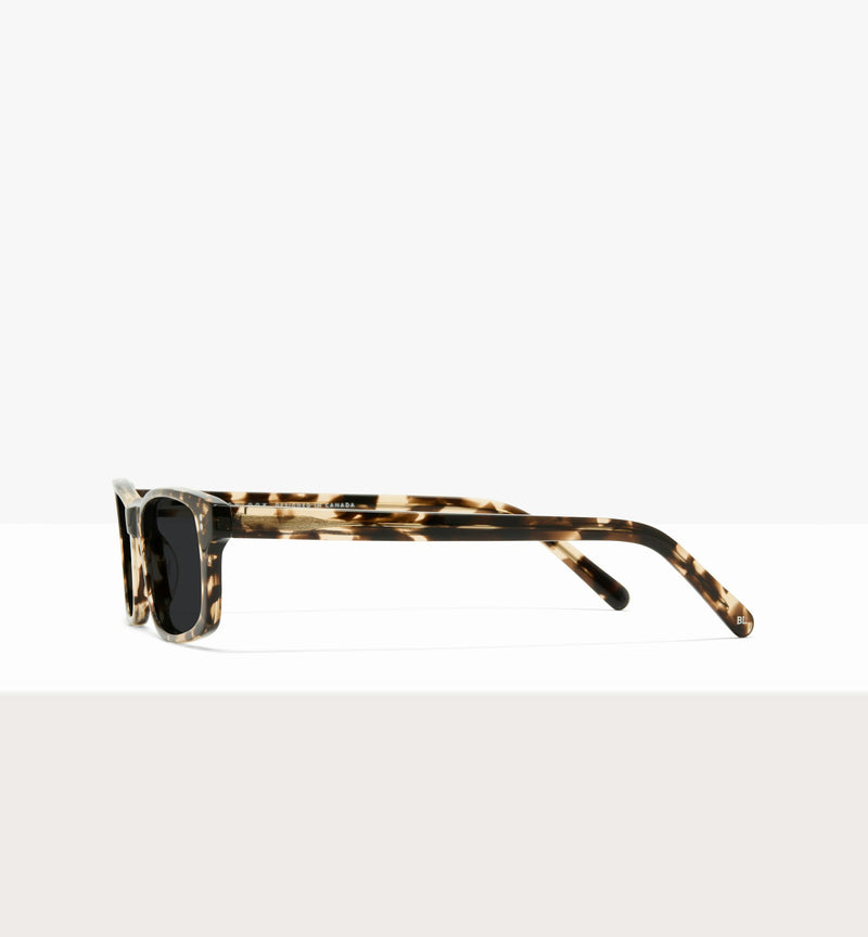 Clear Tort--side_image_sun