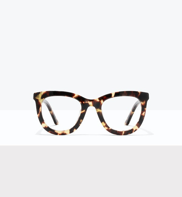 Fawn Tort -- image_principale