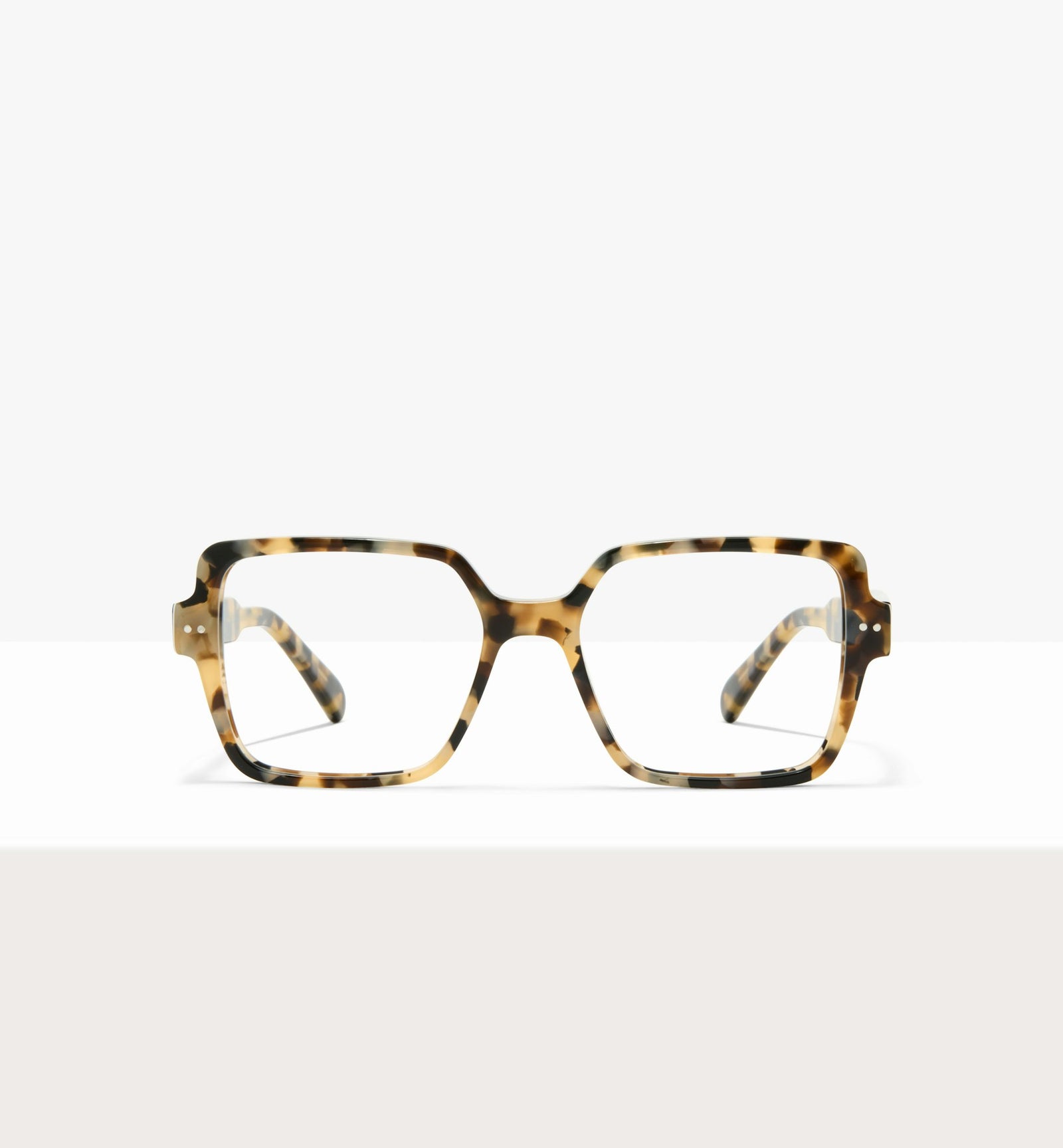 Tortue à la crème--front_image