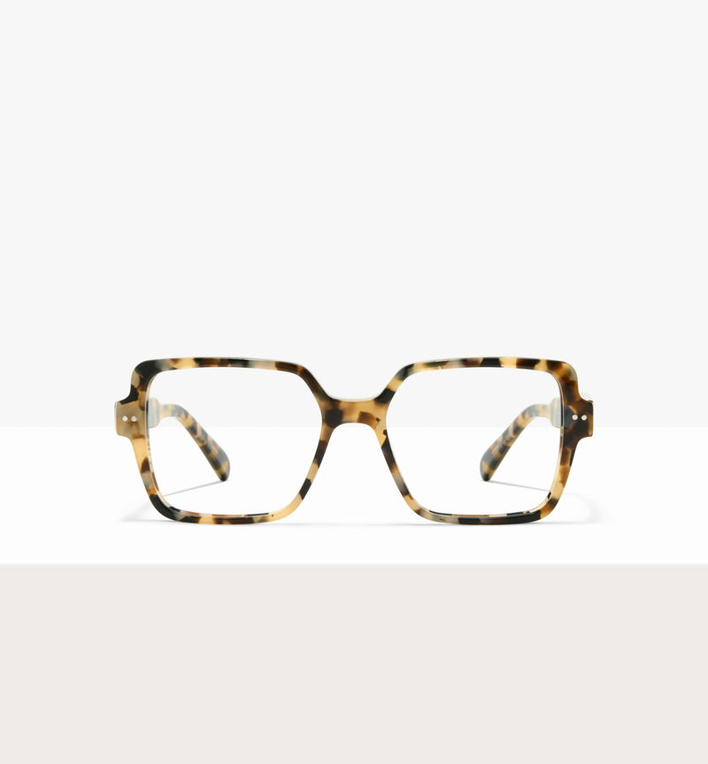 Tortue à la crème--front_image