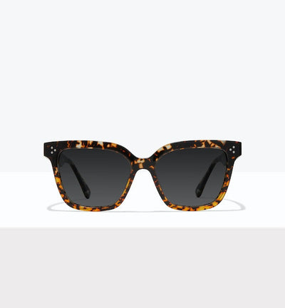 Monarch--front_image_sun