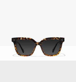 Monarch--front_image_sun