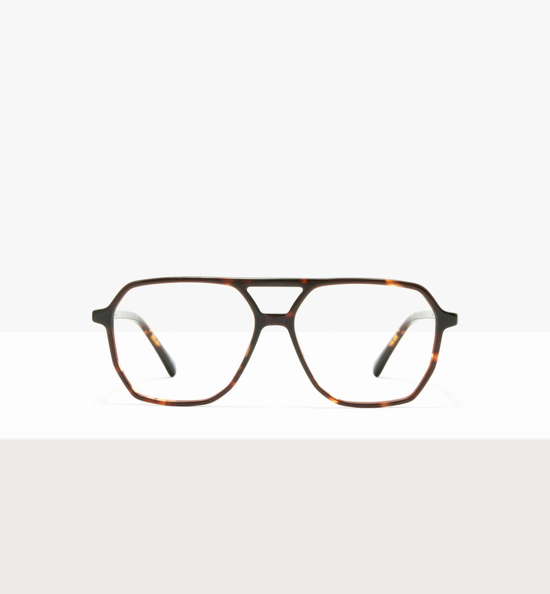 Clear Brown Tort--front_image