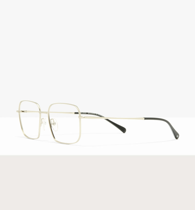 Silver--angled_image