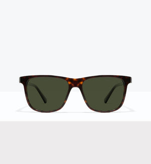 Tortoise--front_image_sun