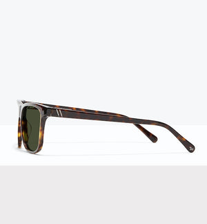 Tortoise--side_image_sun