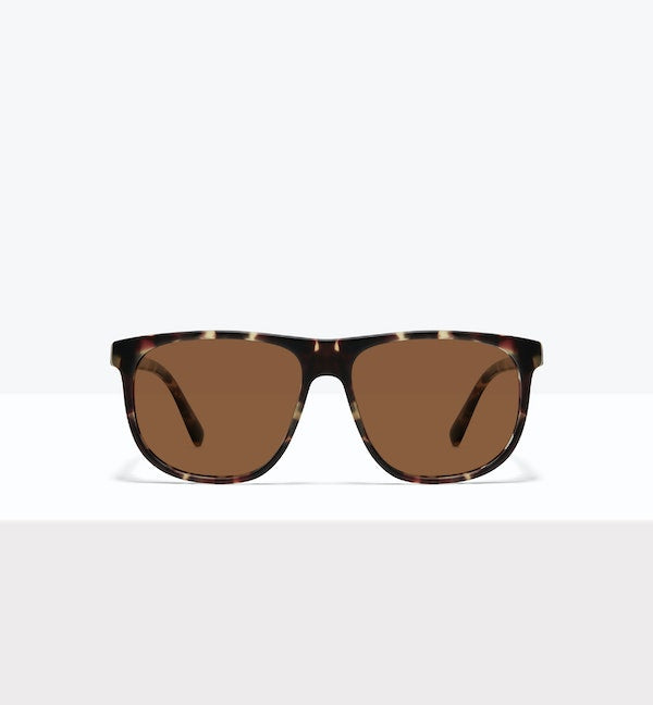 Tortoise Matte--front_image_sun