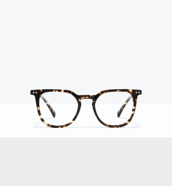 Eclipse Tort--front_image