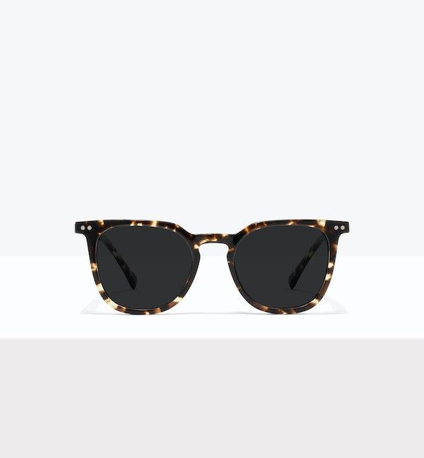 Eclipse Tort--front_image_sun