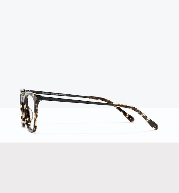 Eclipse Tort--side_image