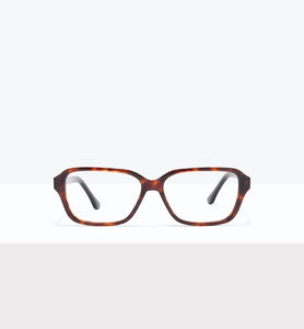 Tortoise--front_image
