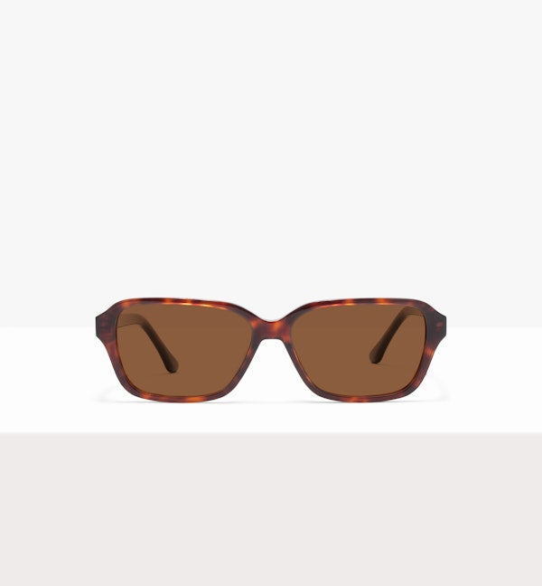 Tortue-image frontale_sun