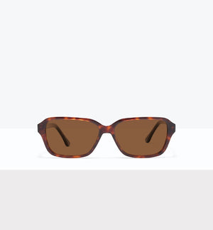 Tortoise--front_image_sun