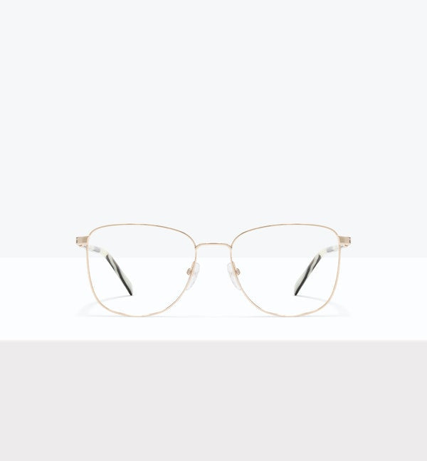 Gold--front_image