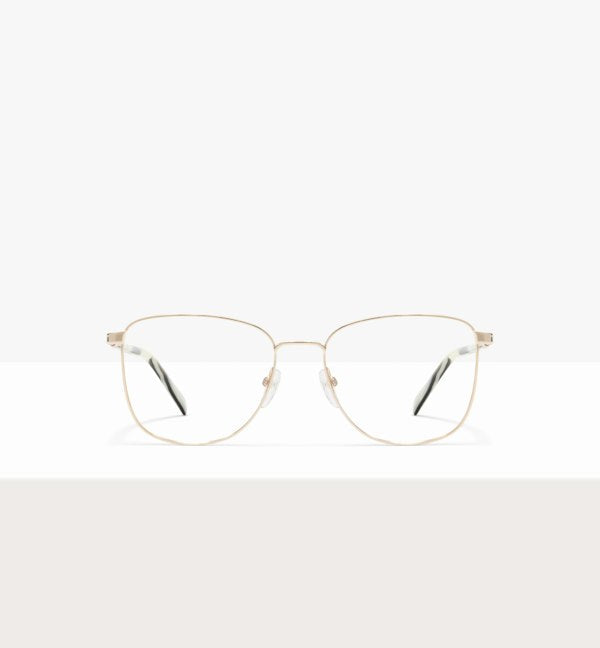 Gold--front_image