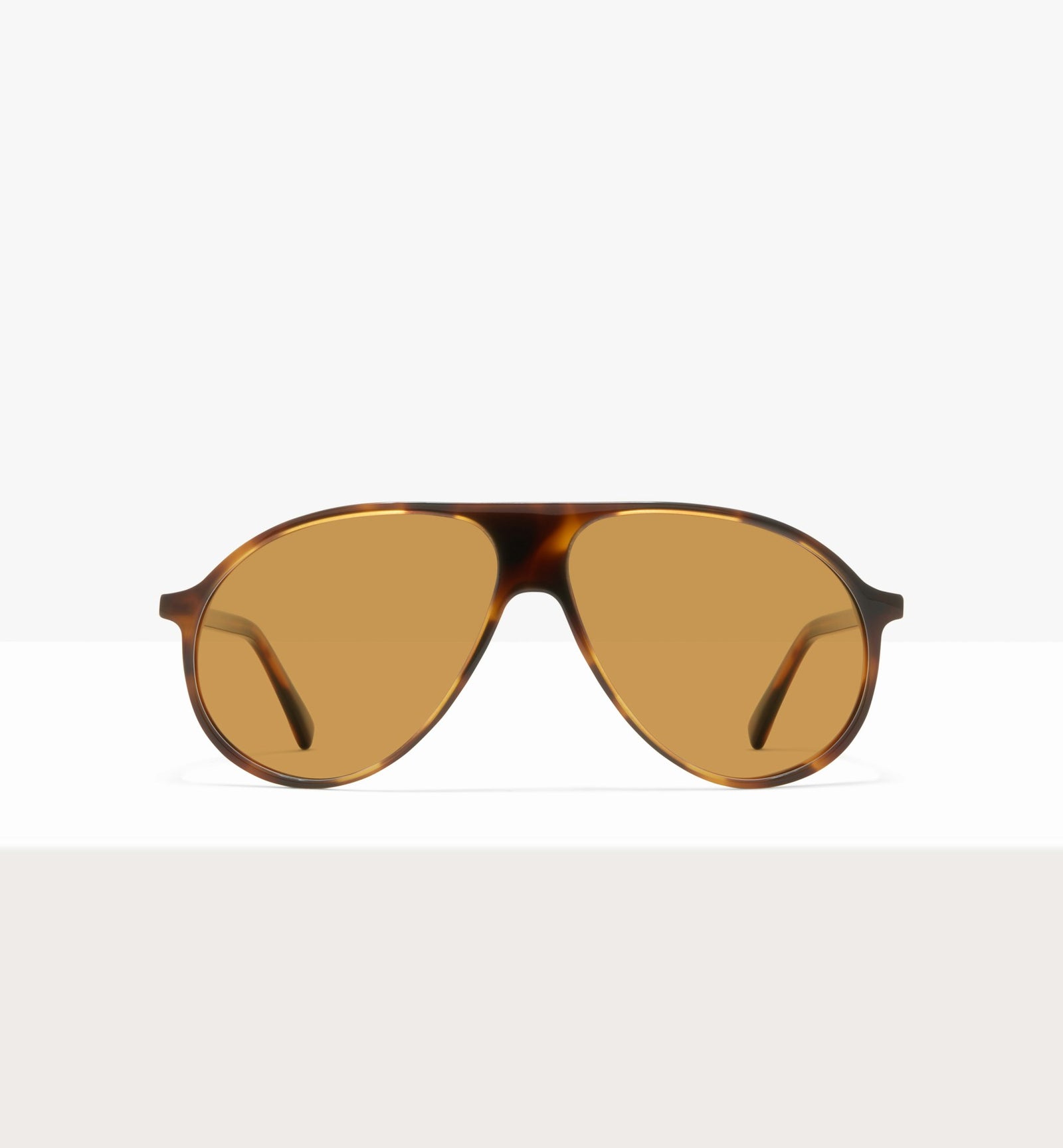 Brown Tort--front_image_sun