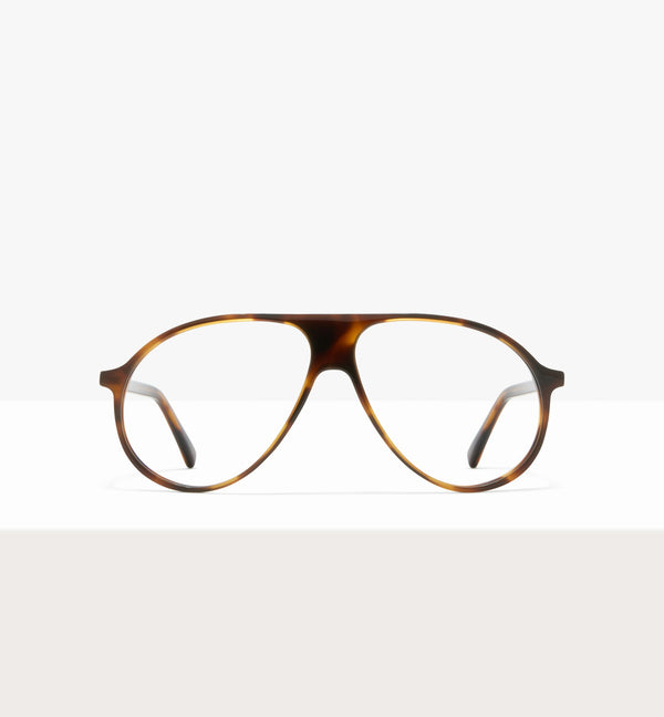 Brown Tort--front_image