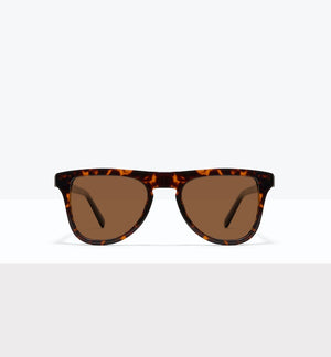 Brindle--front_image_sun