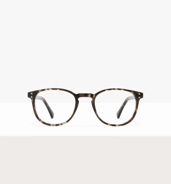 Sage Tort--front_image
