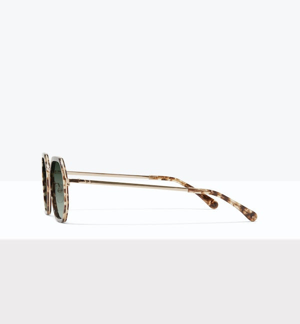 Léopard--side_image_sun