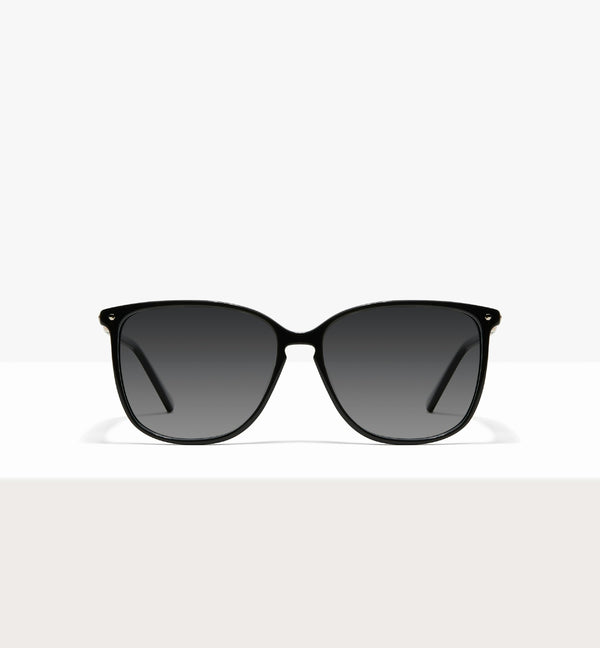 Pitch Black--front_image_sun