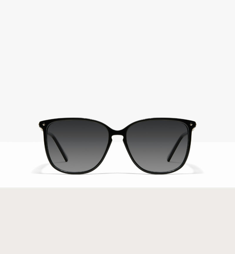 Pitch Black--front_image_sun