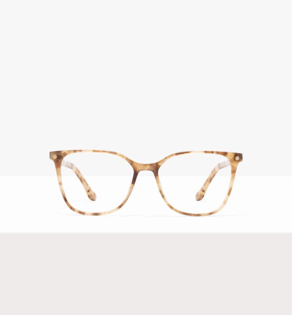 Hazel Tort--front_image