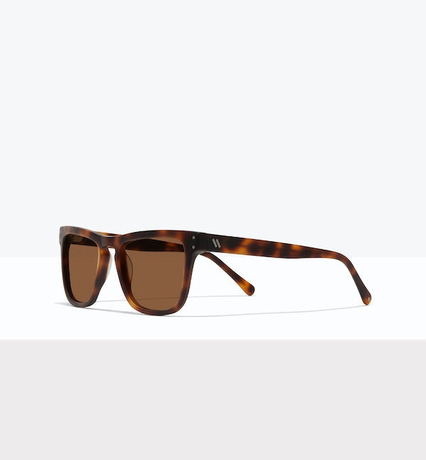 Matte Tort--angled_image_sun
