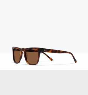 Matte Tort--angled_image_sun