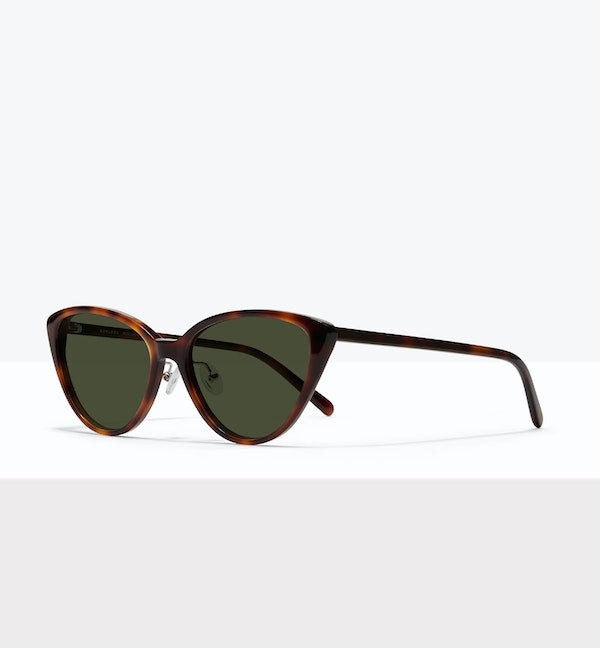 Tortoise--angled_image_sun