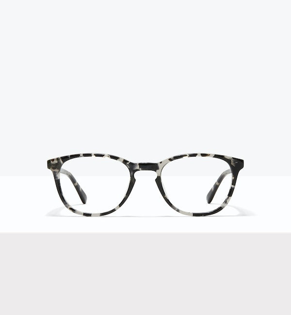 Black Tort--front_image