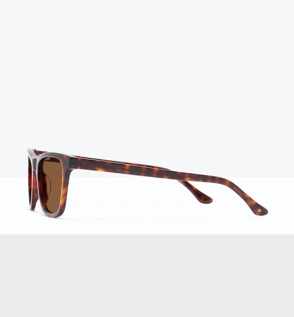 Tortue -- image latérale_soleil