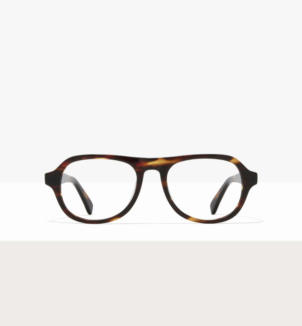 Brown Tort--front_image