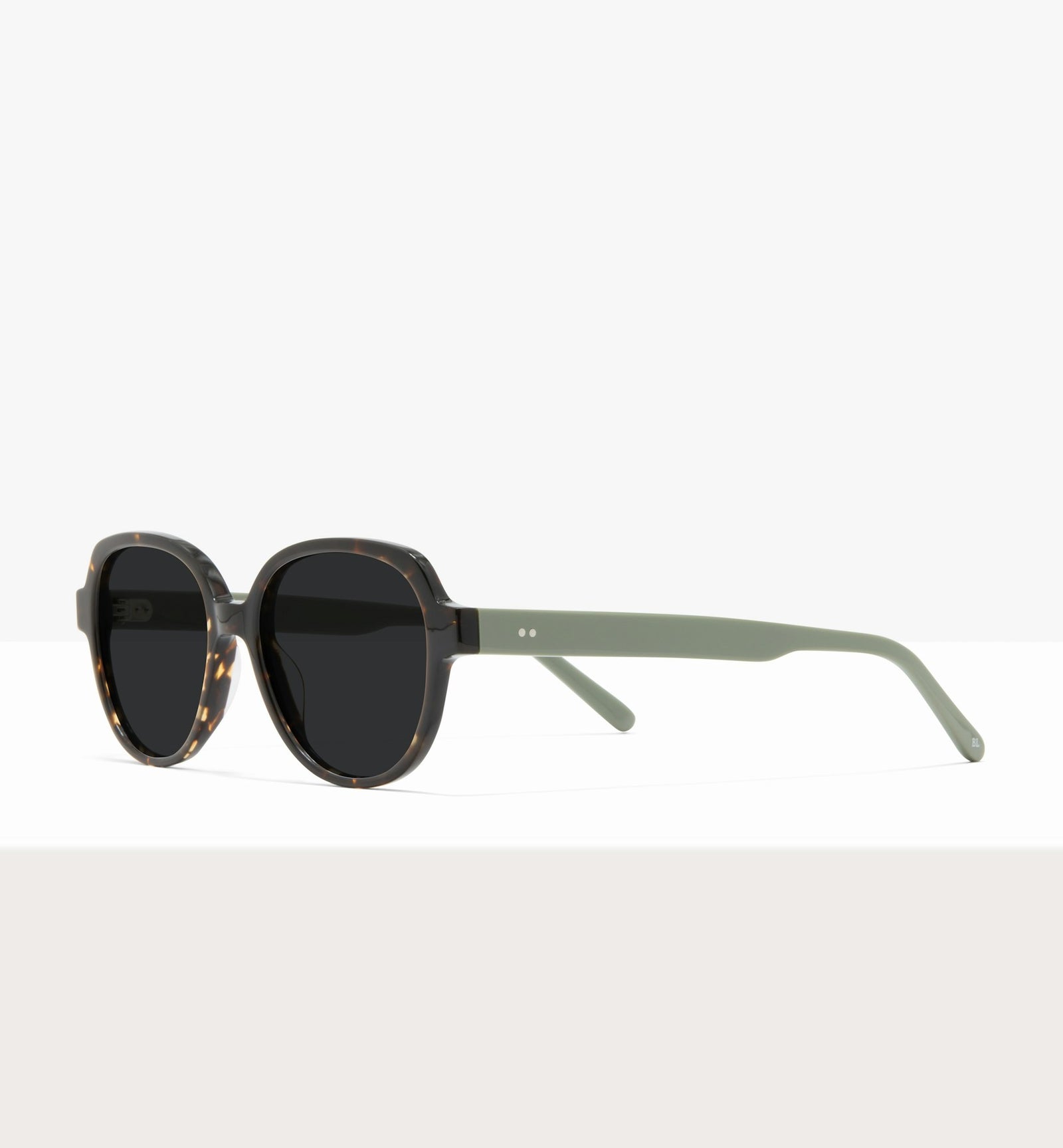 Brown Tort--angled_image_sun