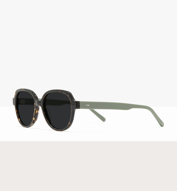 Brown Tort--angled_image_sun
