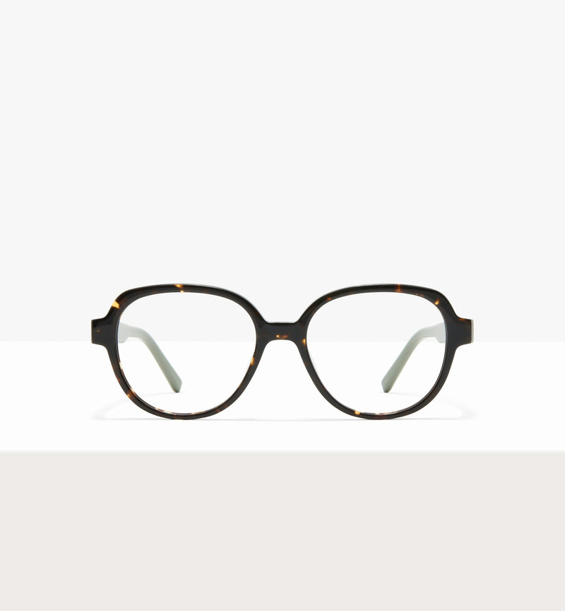 Brown Tort--front_image