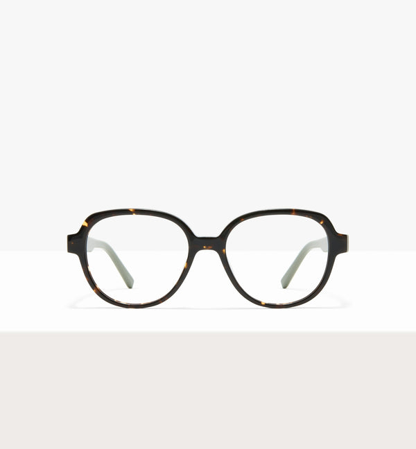 Brown Tort--front_image