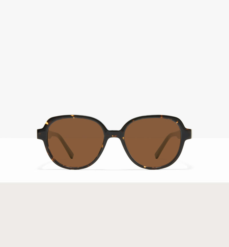 Brown Tort--front_image_sun