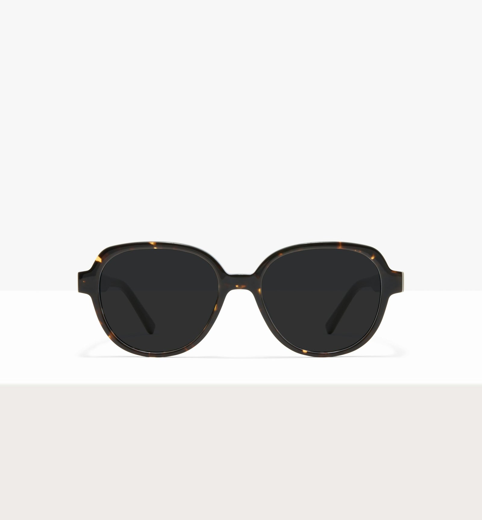 Brown Tort--front_image_sun